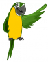logo:pfc-perroquet.png